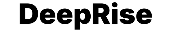 DeepRise 